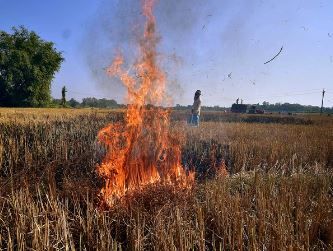 पराली जलाने के कारण उत्तर भारत में चिकित्सकीय आपात स्थिति: आतिशी